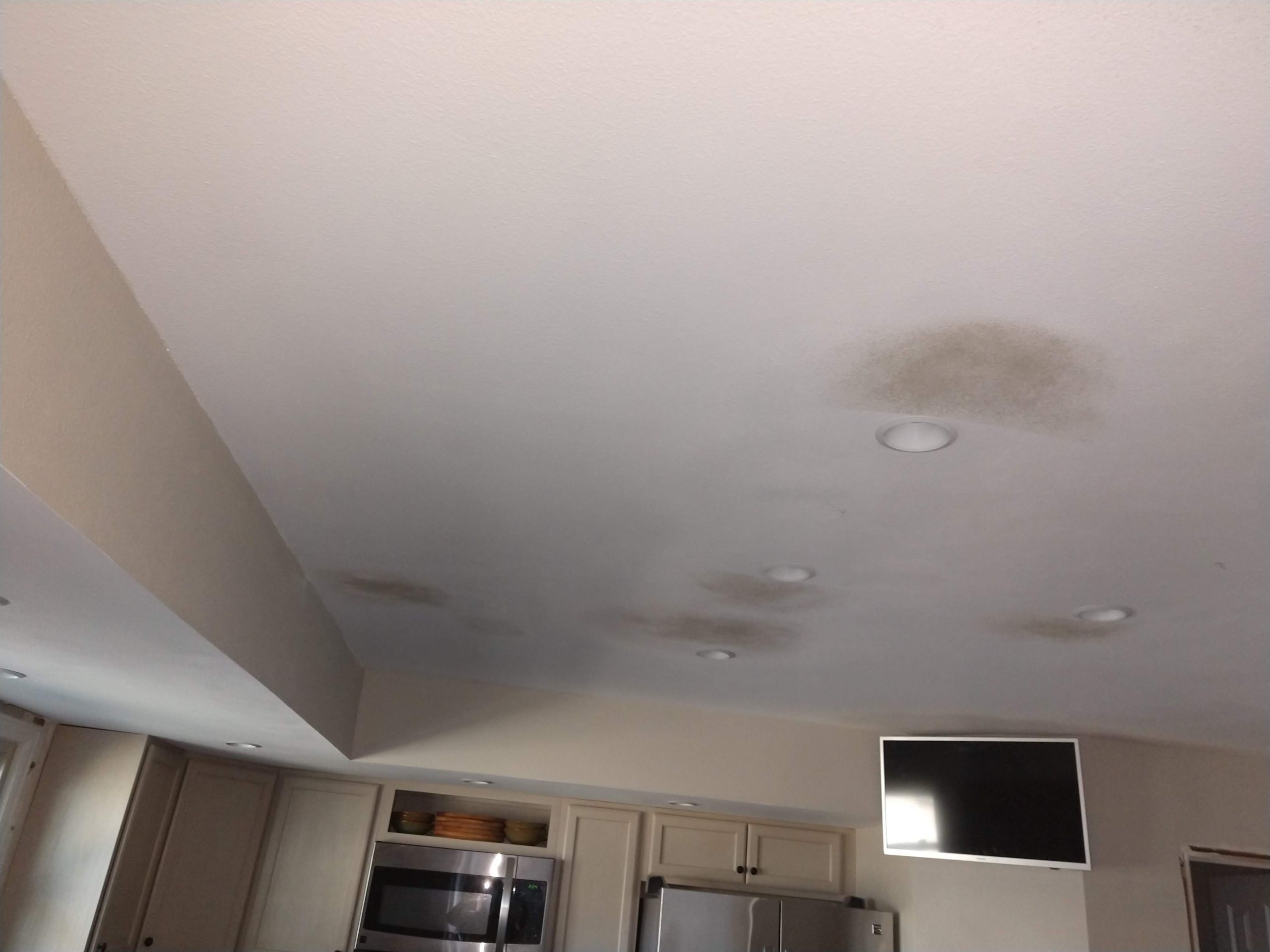 img_20190225_142431312